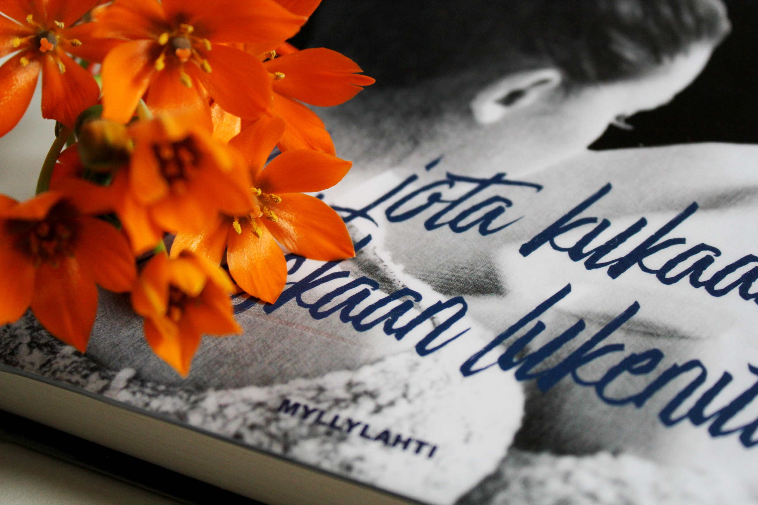 Kirja jota kukaan ei koskaan lukenut (2)