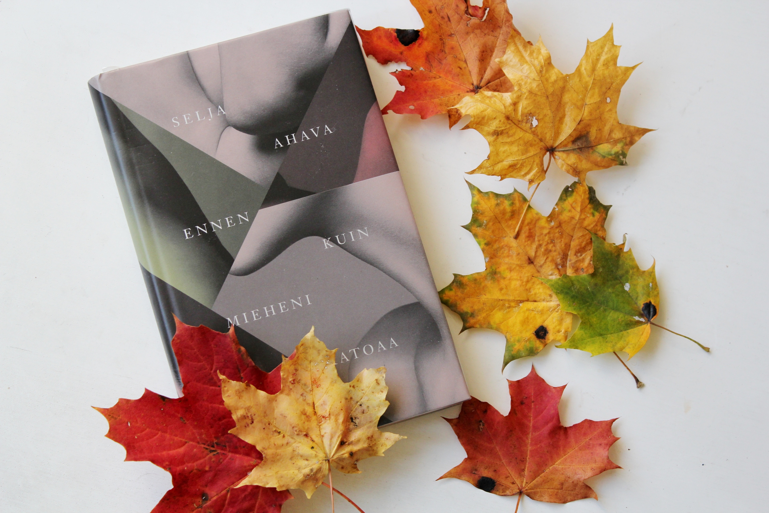 Ennen kuin mieheni katoaa (2)