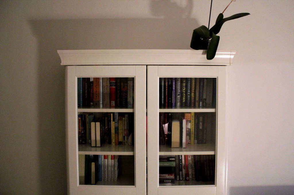 VIDEO: Lauran kirjahyllyssä