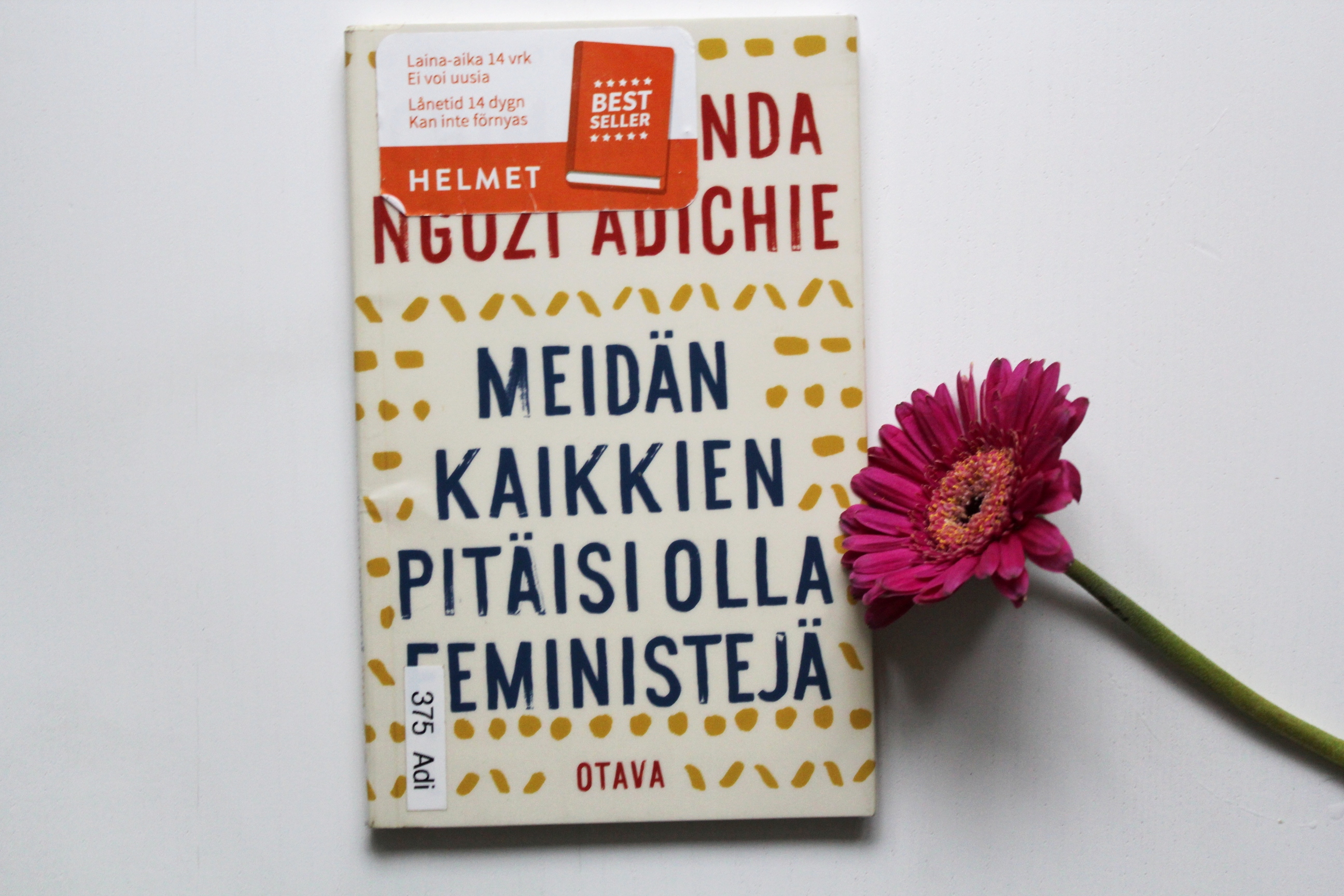 Meidän kaikkien pitäisi olla feministejä (2)