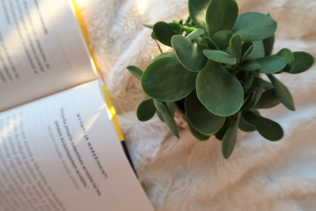 Luin yrittäjyyskirjan ja päätin, etten sittenkään perusta yritystä&nbsp;(vielä)