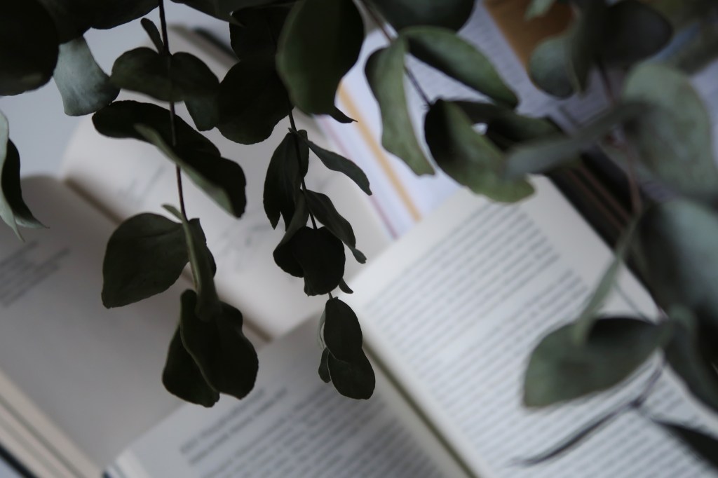 Vuoden toinen Helmet-lukuhaaste suoritettu vuoden viimeisillä&nbsp;tunneilla