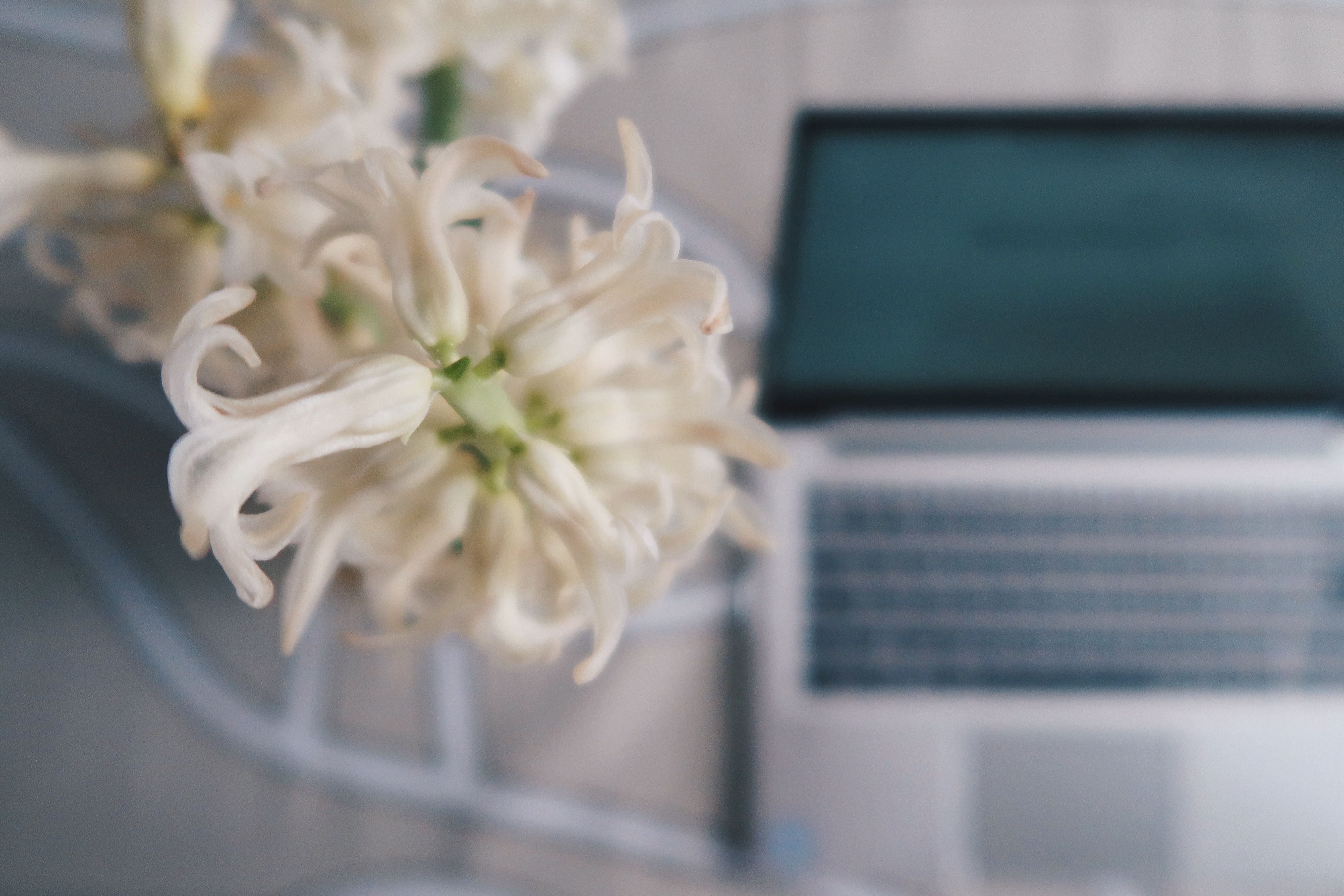 Processed with VSCO with hb2 preset