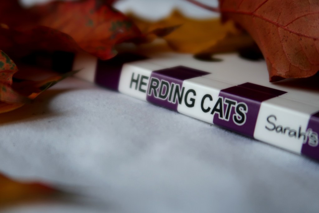 Sarjakuvahaaste päättyi – Miten minun&nbsp;kävi?