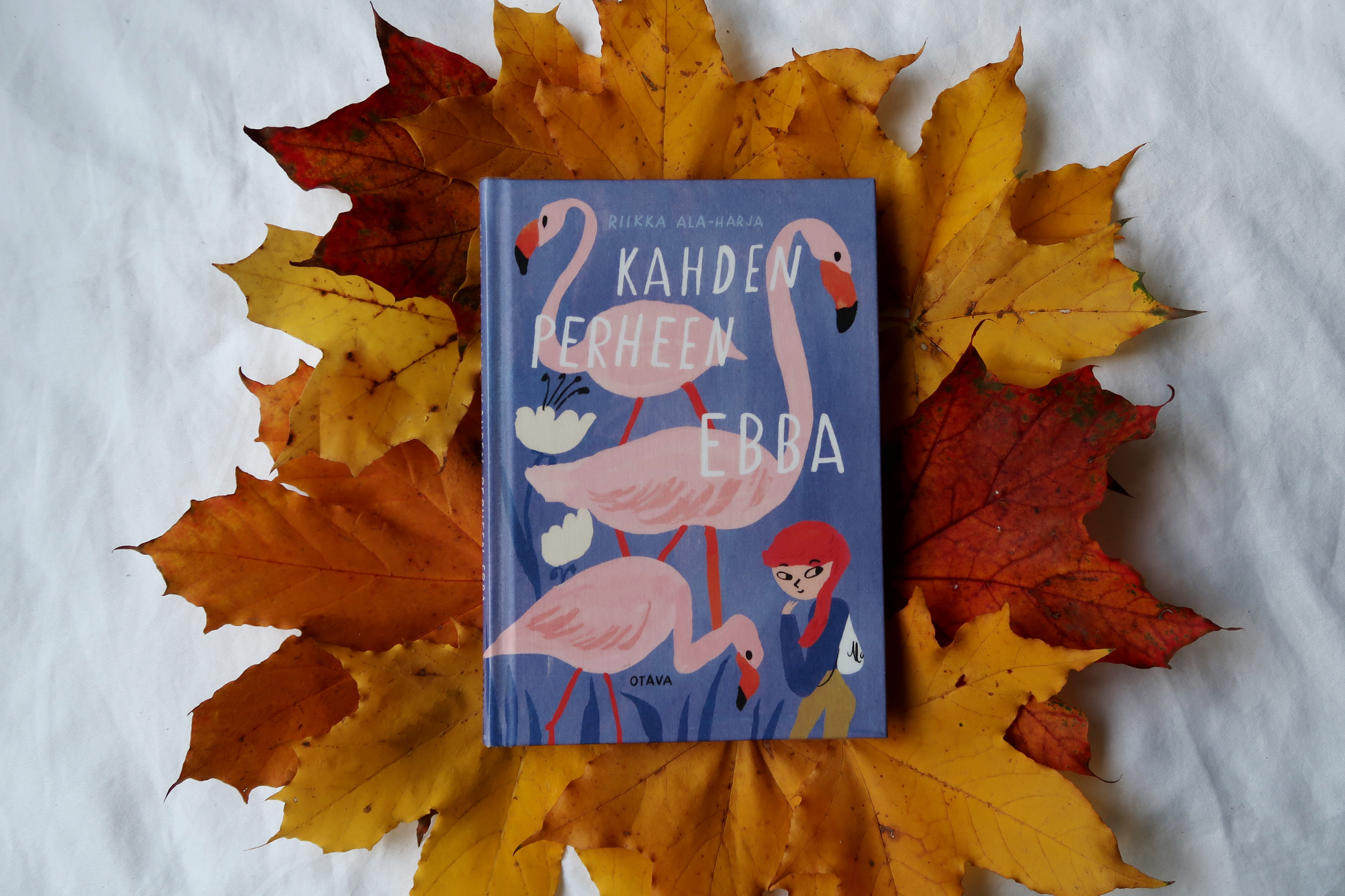 kahden perheen ebba (2)