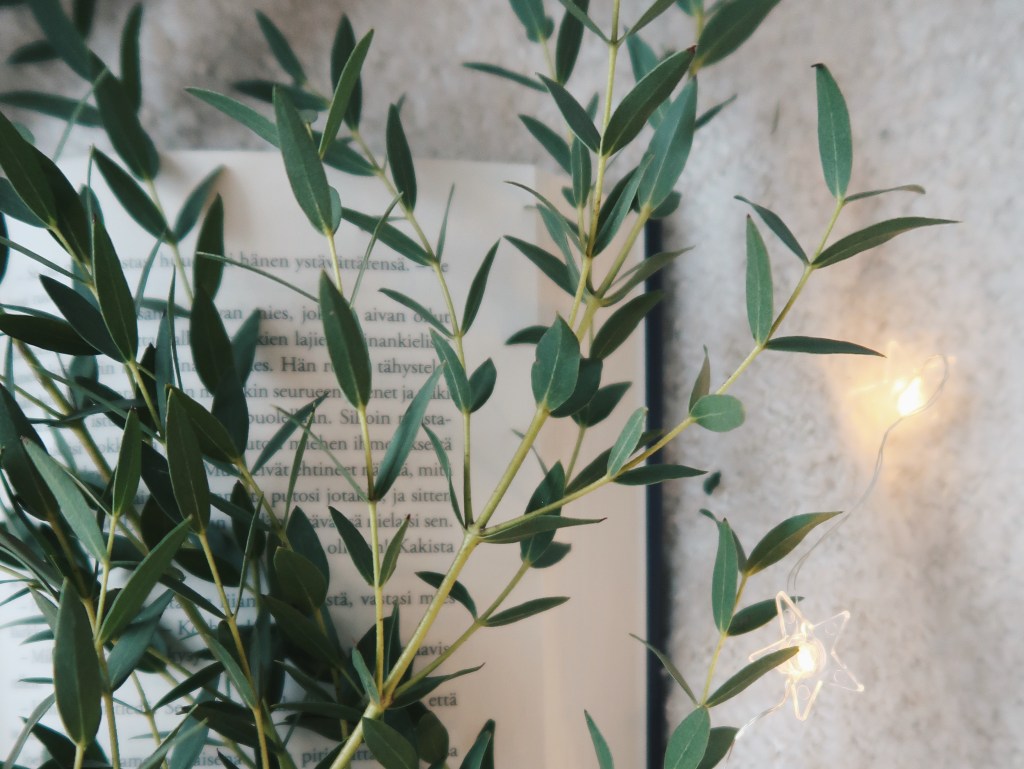 Kuusi vinkkiä oman lukupiirin&nbsp;perustamiseen