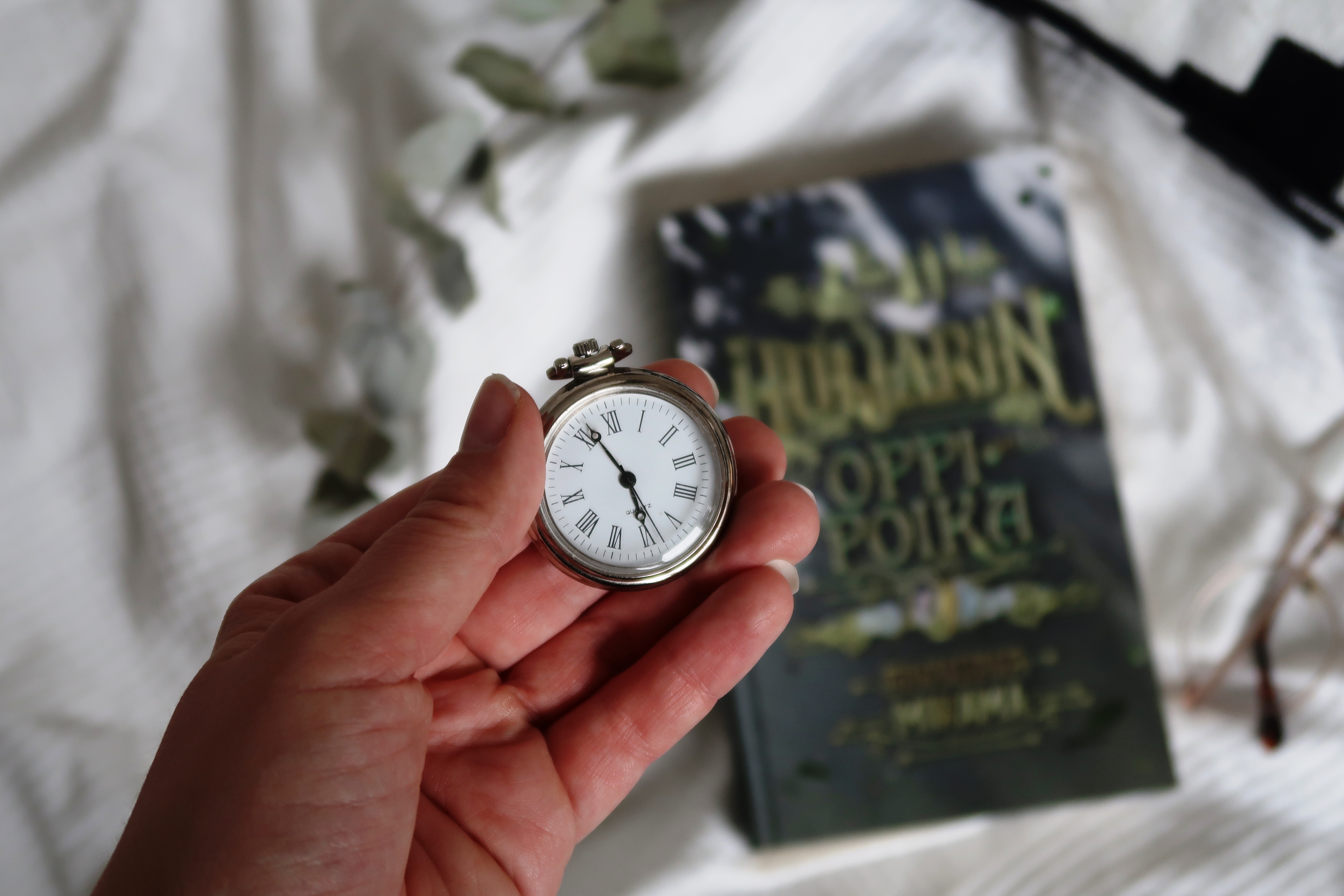 Anniina Mikama Huijarin oppipoika (2)