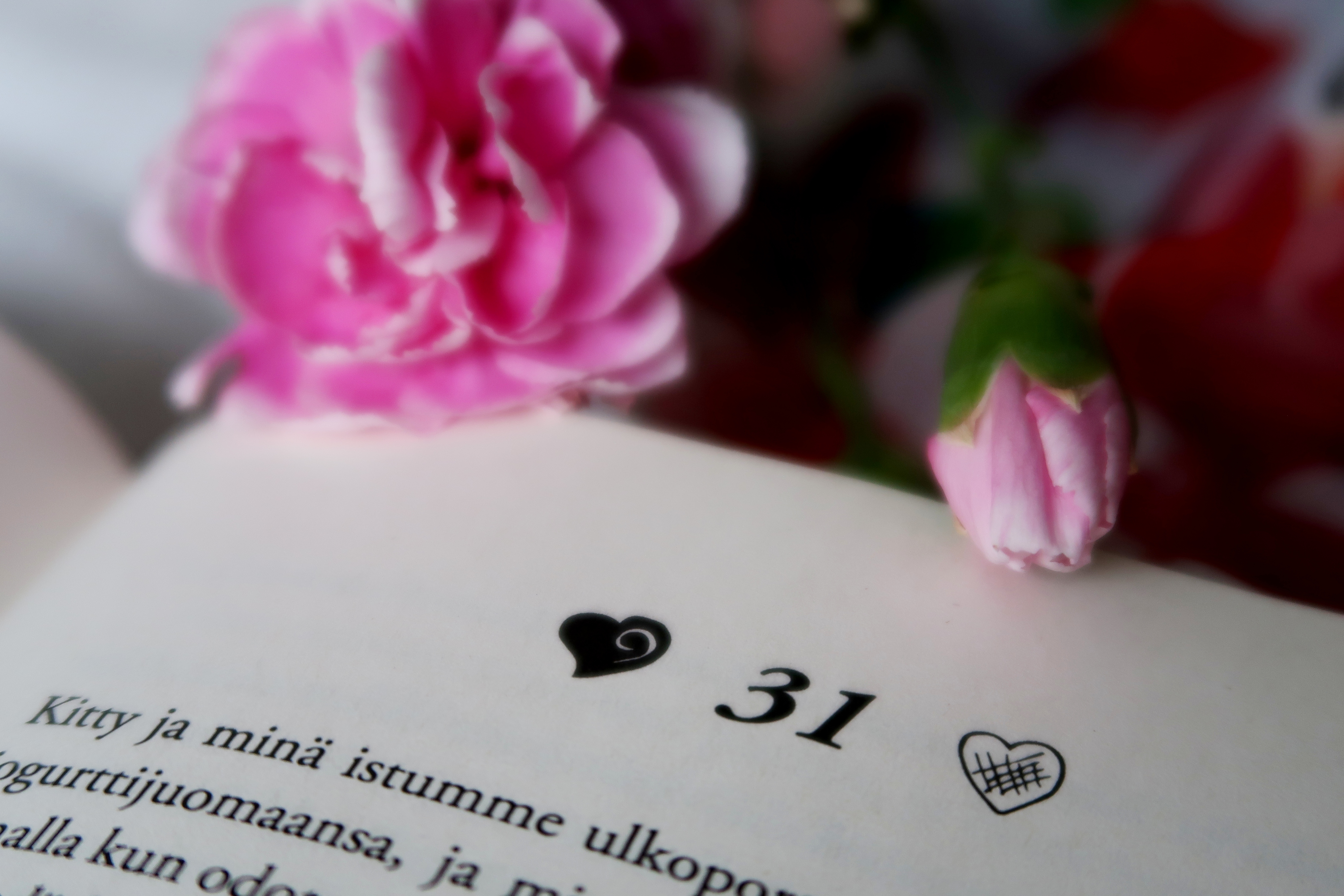 Jenny Han Pojille, joita joskus rakastin (1)