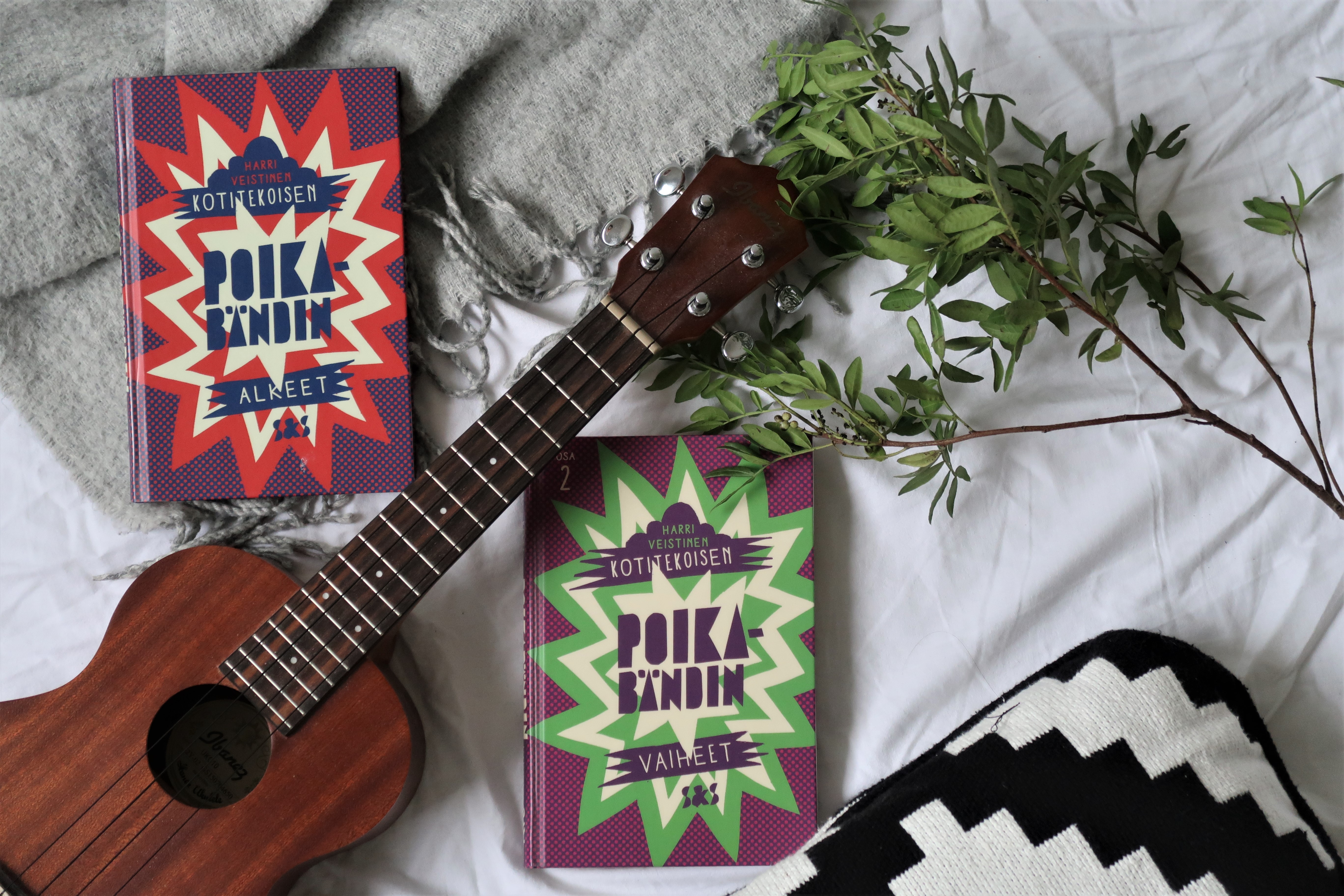 Mikko Veistinen Kotitekoisen poikabändin alkeet ja vaiheet (3)